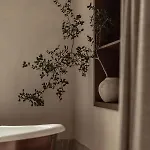 Manna, A Member Of Design 5* 瓦尔特西尼科