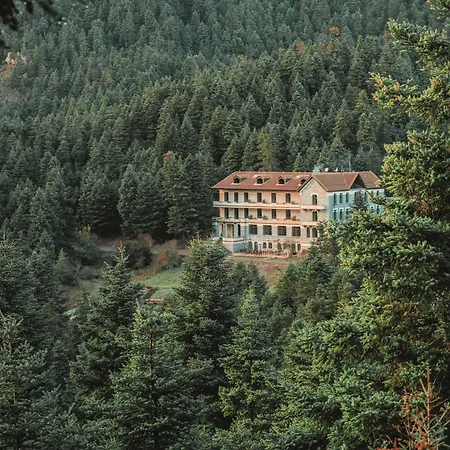 Manna, A Member Of Design