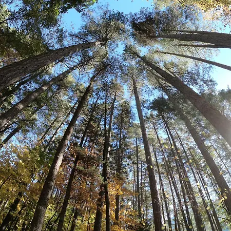 Manna, A Member Of Design Hotel 5*