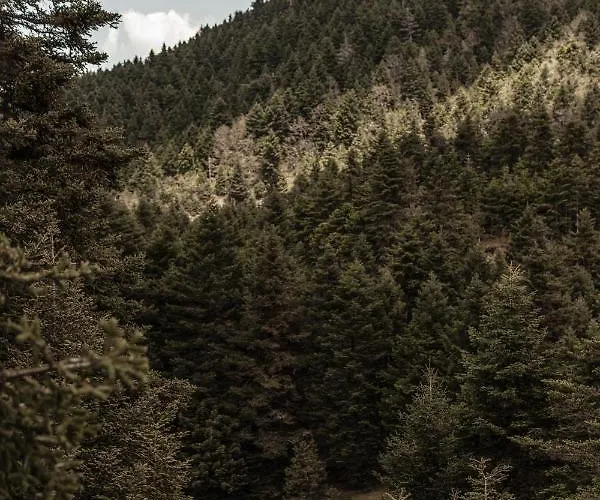 Manna, A Member Of Design 5* Valtessiniko