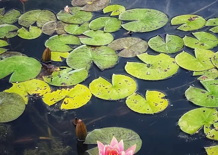 Hotel Manna, A Member Of Design 5*