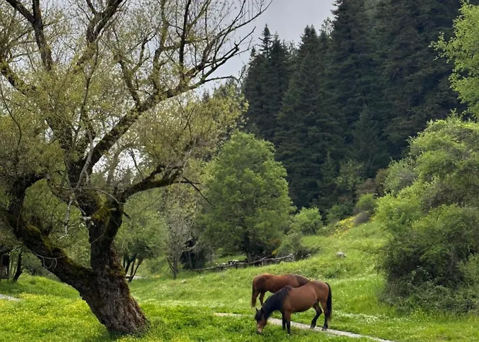 Manna, A Member Of Design Hotel Valtessiniko