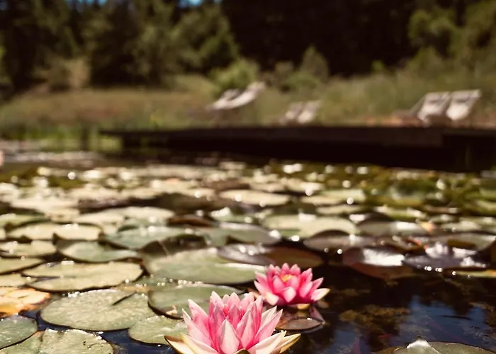 Manna, A Member Of Design 5* Valtessiniko