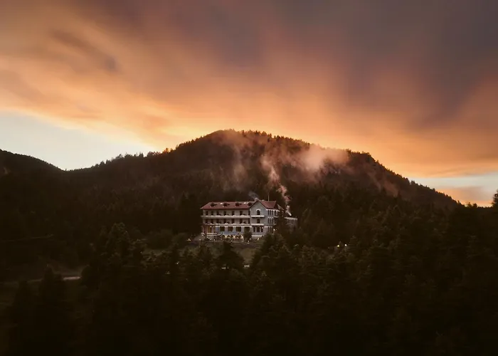 Manna, A Member Of Design