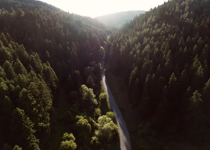 Hotel Manna, A Member Of Design