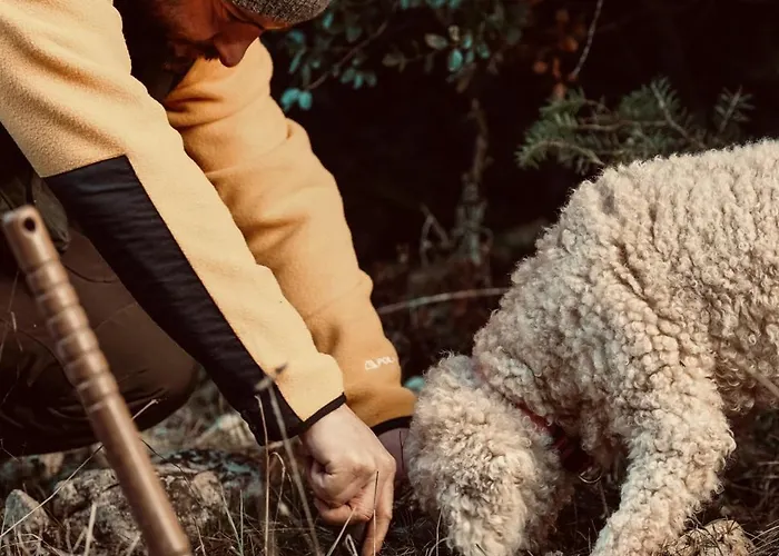 Manna, A Member Of Design Hotel