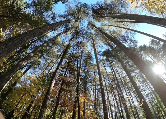 Manna, A Member Of Design Hotel 5*