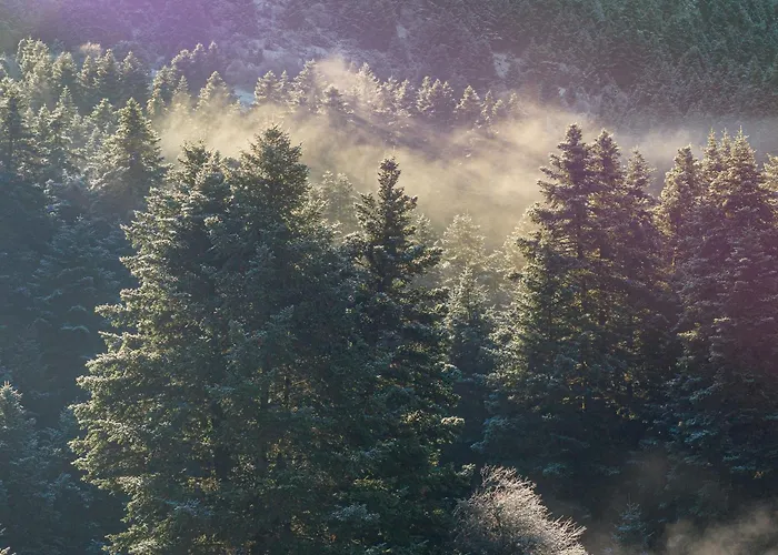 Manna, A Member Of Design Hotel